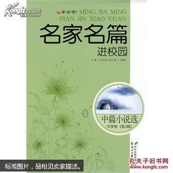 超新星魔导师