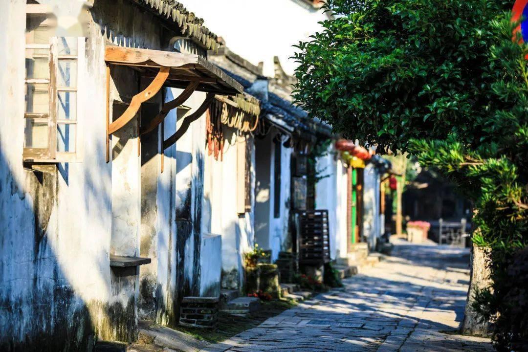 召唤神龙万宁版祖龙